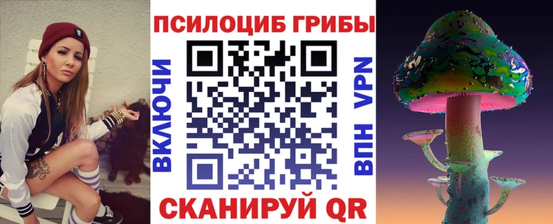 Галлюциногенные грибы мицелий  продажа наркотиков  Новая Ладога 